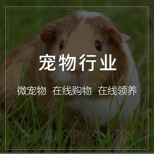 南宁问诊系统制作如何支持远程医疗与健康管理